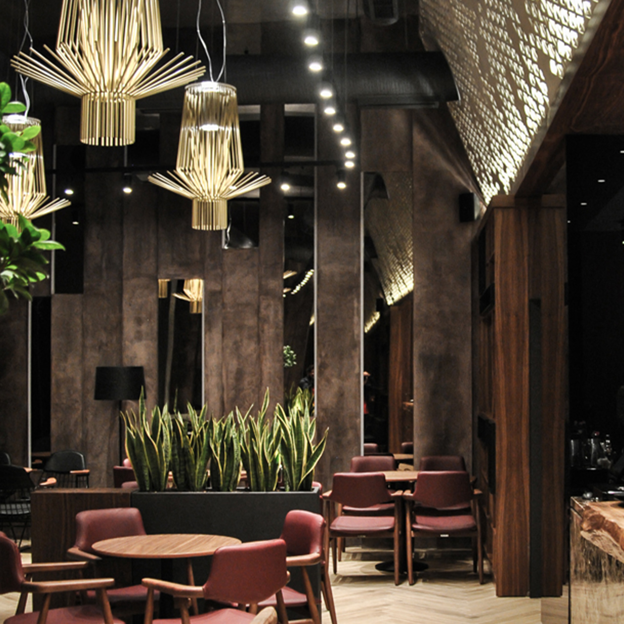 NOMAD BAR